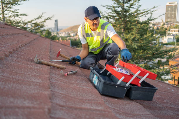 Best Historical Building Siding Restoration  in Woodbury Center, CT